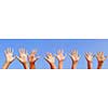 Row of hands with open palms on blue sky background
