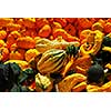 Ornamental pumpkins on farmers market in the fall