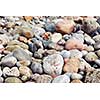 Background of colofrul beach pebbles of different shape and size