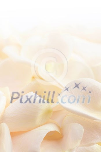 Abstract background of a fresh beige rose petals Abstract background of a fresh beige rose petals