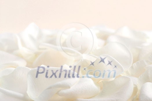 Abstract background of fresh white rose petals Abstract background of fresh white rose petals