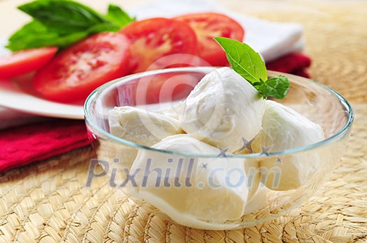 Bocconcini cheese, basil and sliced tomatoes - ingredients of traditional italian cuisine Bocconcini cheese, basil and sliced tomatoes - ingredients of traditional italian cuisine