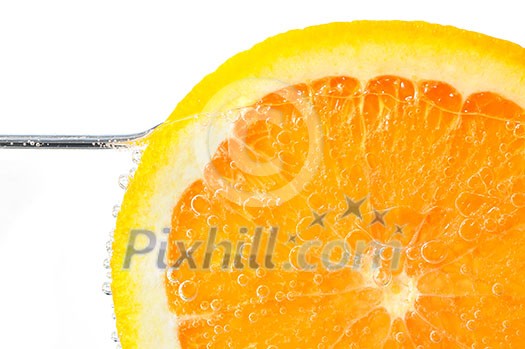 Orange slice in water on white background Orange slice in water on white background
