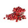 Fresh red cranberries in a glass bowl on white background