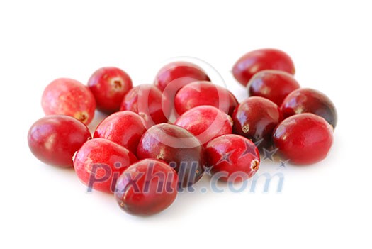 Fresh red cranberries macro on white background Fresh red cranberries macro on white background