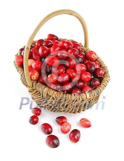 Fresh red cranberries in basket on white background Fresh red cranberries in basket on white background
