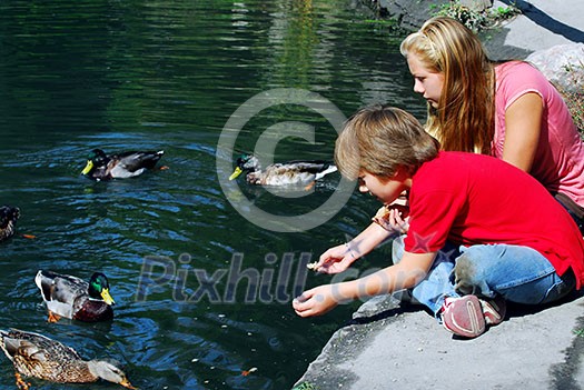 Children feeding ducks at the pond in a park Children feeding ducks at the pond in a park