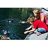 Children feeding ducks at the pond in a park