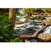 Rocky river rapids in wilderness in Ontario, Canada
