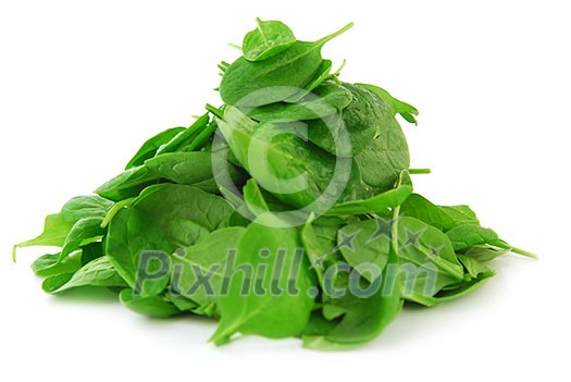 Pile of spinach isolated on white background Pile of spinach isolated on white background
