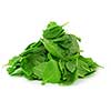 Pile of spinach isolated on white background