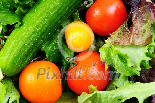 Assorted fresh vegetables - tomatoes, cucumber, green lettuce Assorted fresh vegetables - tomatoes, cucumber, green lettuce