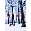 Winter park covered with snow at dusk. Beach area, Toronto, Canada.