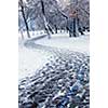 Winter park and recreational trail covered with snow. Beach area, Toronto, Canada.