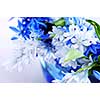Blue bouquet of first spring flowers closeup