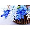 Blue bouquet of first spring flowers closeup