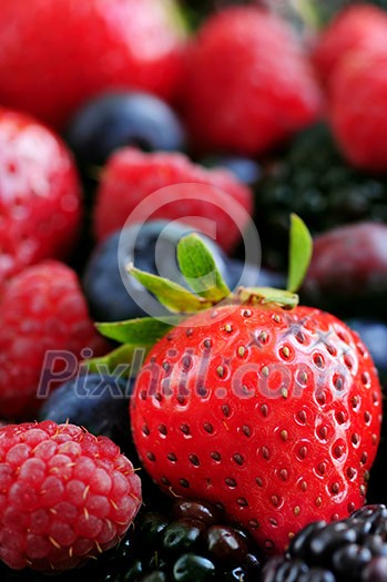 Background of assorted fresh berries close up