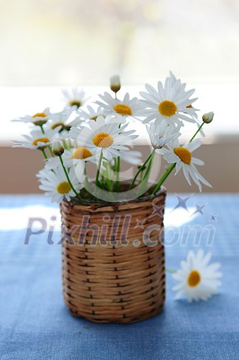 Small bouquet of summer daisies in the morning Small bouquet of summer daisies in the morning