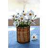 Small bouquet of summer daisies in the morning