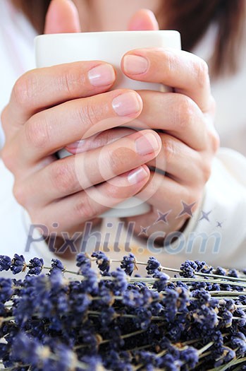 Hands of a woman holding a cup Hands of a woman holding a cup