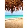 View from under palm leaves shelter onto tropical beach of a Caribbean island