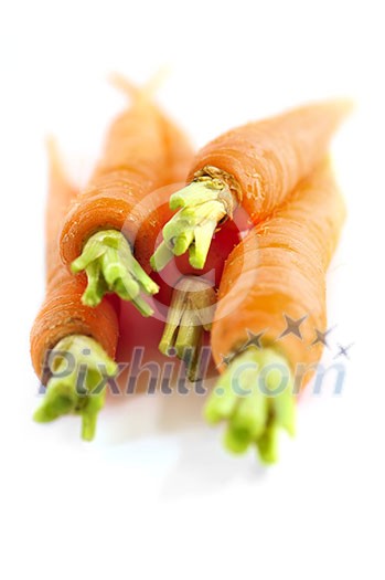 Several fresh carrots isolated on white background Several fresh carrots isolated on white background