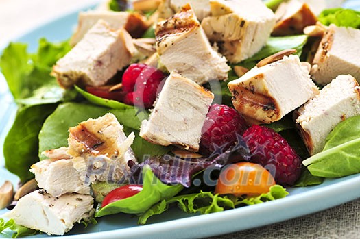 Healthy green salad with grilled chicken breast Healthy green salad with grilled chicken breast