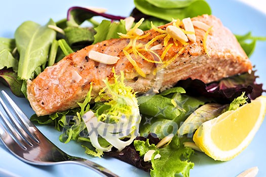 Green salad with grilled salmon fillet and lemon Green salad with grilled salmon fillet and lemon