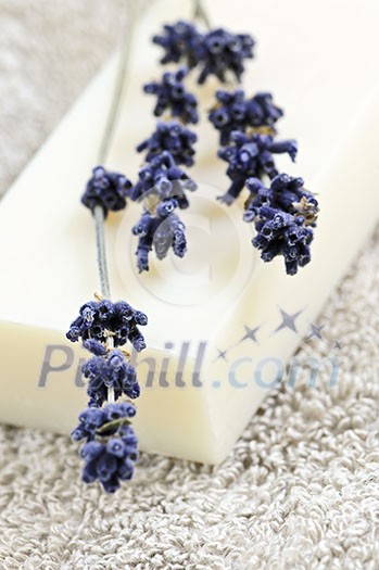 Bar of natural aromatherapy soap with dried lavender Bar of natural aromatherapy soap with dried lavender