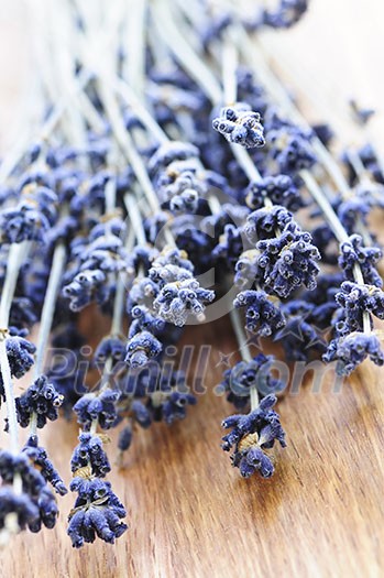 Bunch of dried lavender herb close up Bunch of dried lavender herb close up