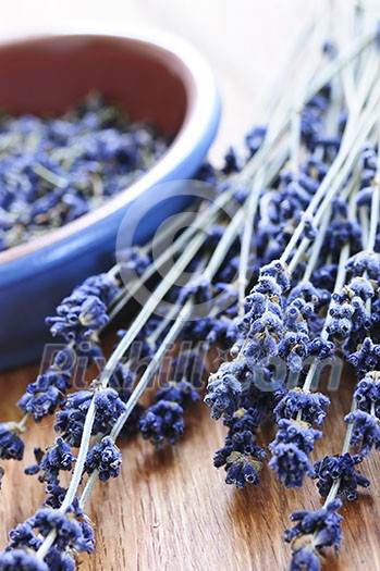 Bunch of dried lavender herb and lavender flowers in a bowl Bunch of dried lavender herb and lavender flowers in a bowl