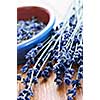 Bunch of dried lavender herb and lavender flowers in a bowl