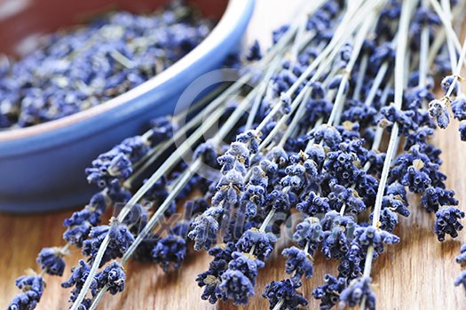 Bunch of dried lavender herb and lavender flowers in a bowl Bunch of dried lavender herb and lavender flowers in a bowl