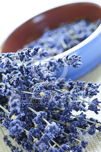 Bunch of dried lavender herb and lavender flowers in a bowl Bunch of dried lavender herb and lavender flowers in a bowl