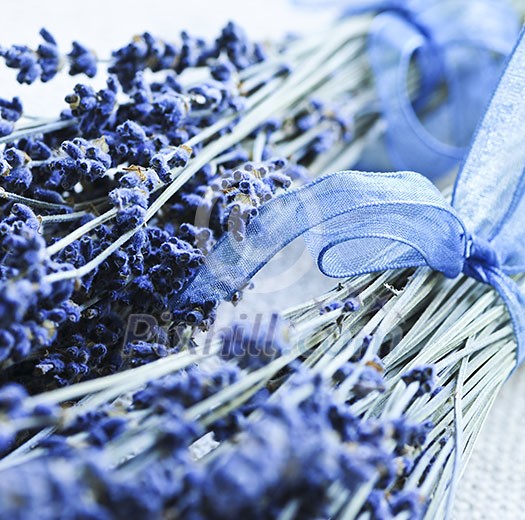 Bunches of dried lavender herb close up Bunches of dried lavender herb close up