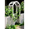 White arbor with blooming roses in a garden
