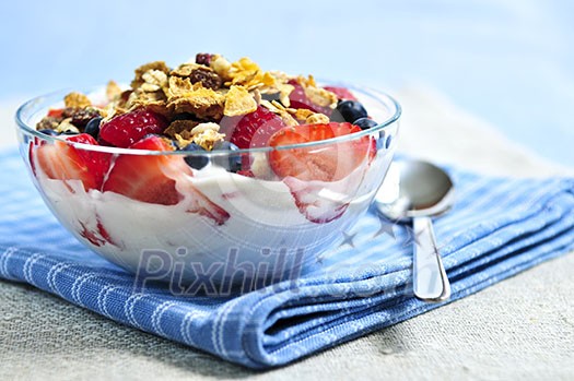 Serving of yogurt with fresh berries and granola Serving of yogurt with fresh berries and granola