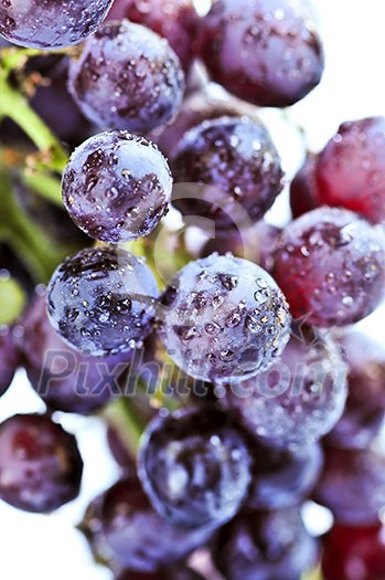 Cluster of red grapes close upi on white background Cluster of red grapes close upi on white background