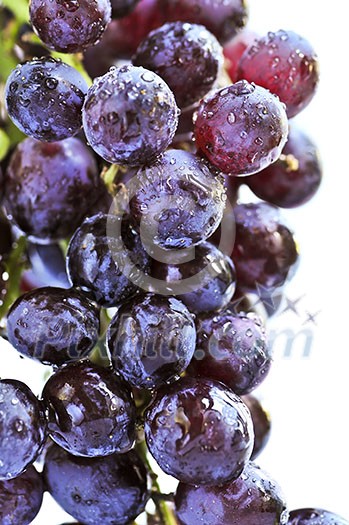 Cluster of red grapes close upi on white background Cluster of red grapes close upi on white background