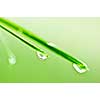 Green grass blades with water drops close up