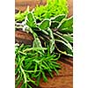 Bunches of assorted fresh herbs close up on wooden cutting board