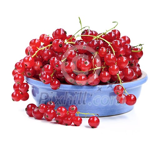 Red currant berries isolated on white background Red currant berries isolated on white background