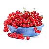Red currant berries isolated on white background