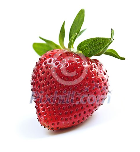 Single fresh strawberry isolated on white background Single fresh strawberry isolated on white background