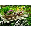 Flower cart with two baskets in summer garden