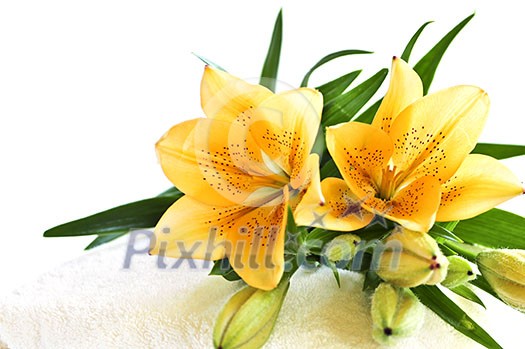 Stack of soft luxury towels with fresh flowers Stack of soft luxury towels with fresh flowers
