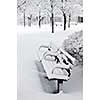 Winter park covered with fresh white snow