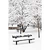 Winter park landscape with bench under the snow