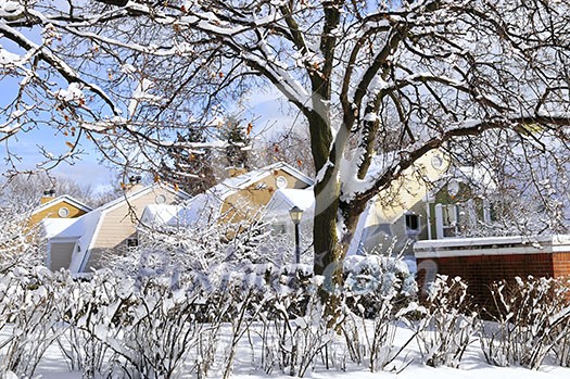 Winter street with lots of snow and colorful houses in Toronto Winter street with lots of snow and colorful houses in Toronto