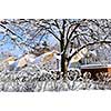 Winter street with lots of snow and colorful houses in Toronto